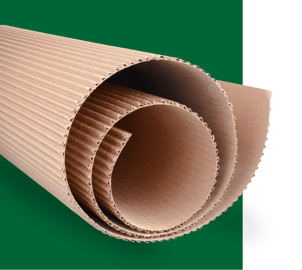 Produto-microondulado (1)